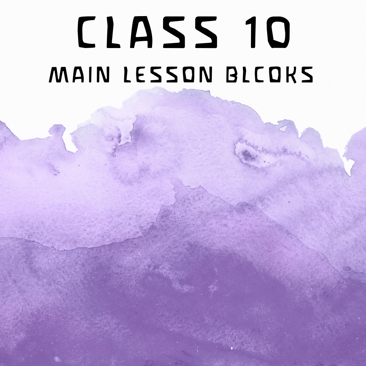 Class 10 Main Lesson Blocks