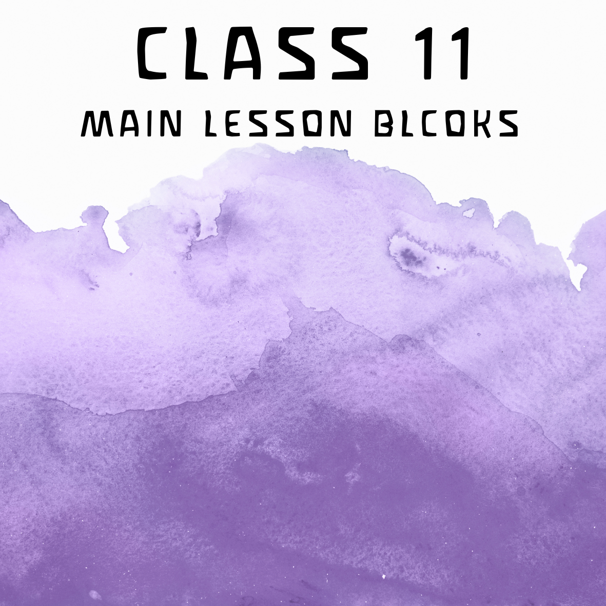 Class 11 Main Lesson Blocks