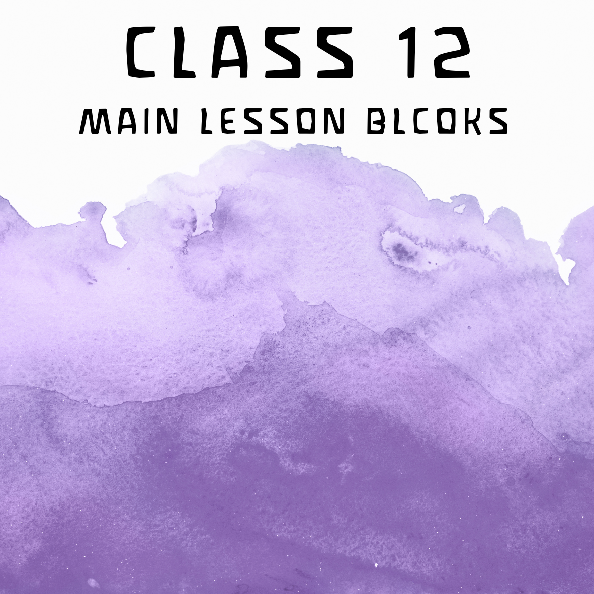 Class 12 Main Lesson Blocks