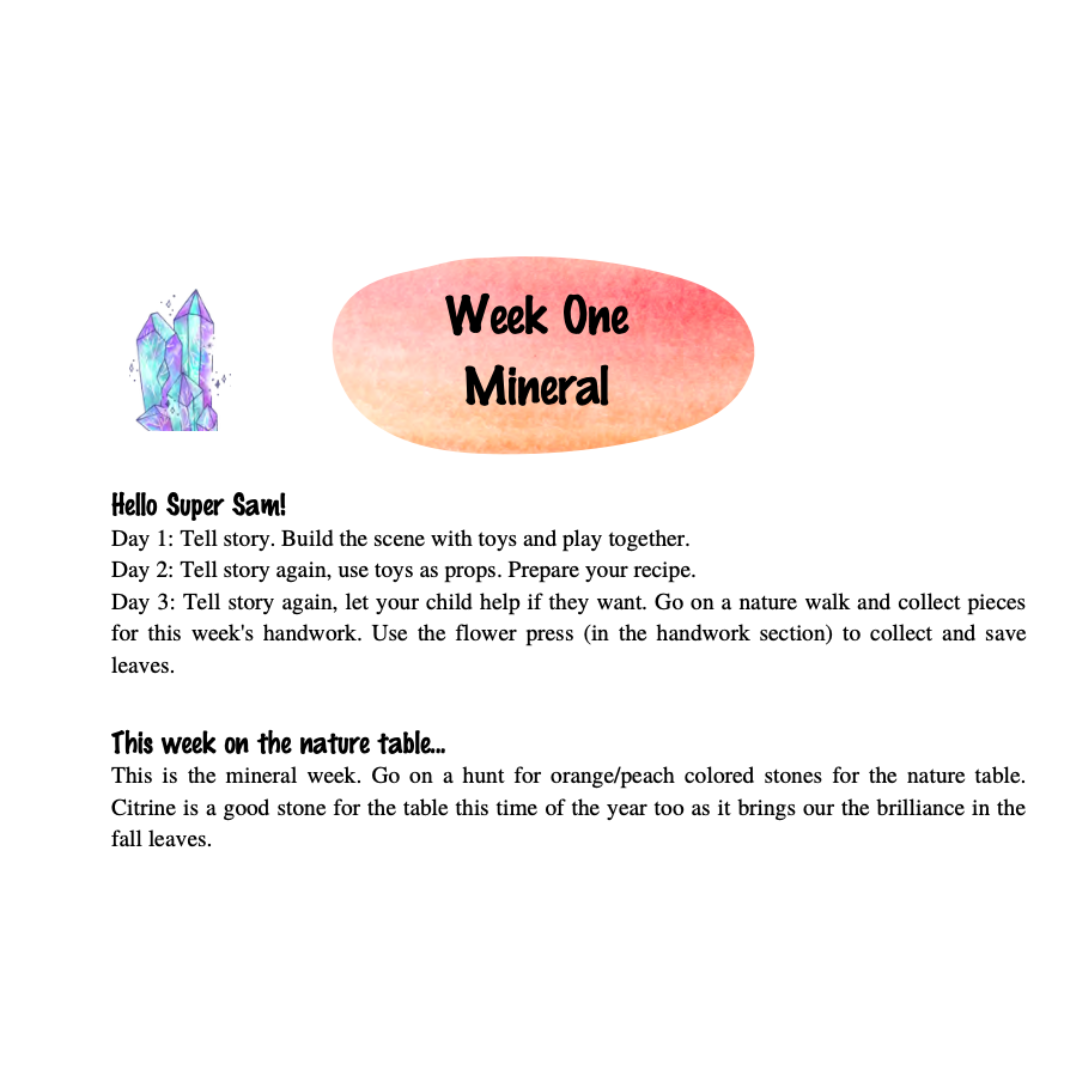 Waldorf Essentials Kindergarten 1 Hard Copy Curriculum & Training