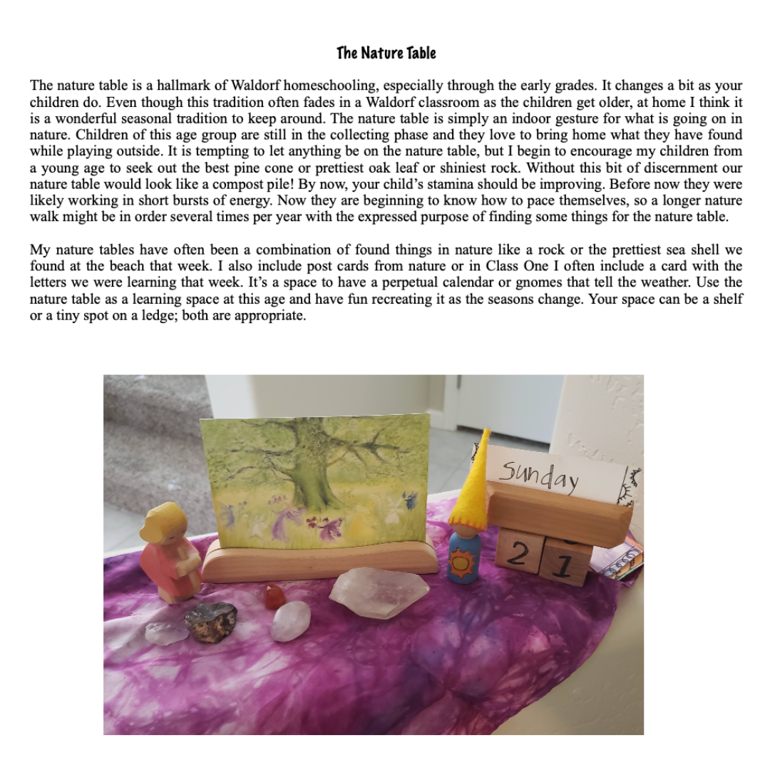Waldorf Essentials Class 1 Digital Curriculum & Training