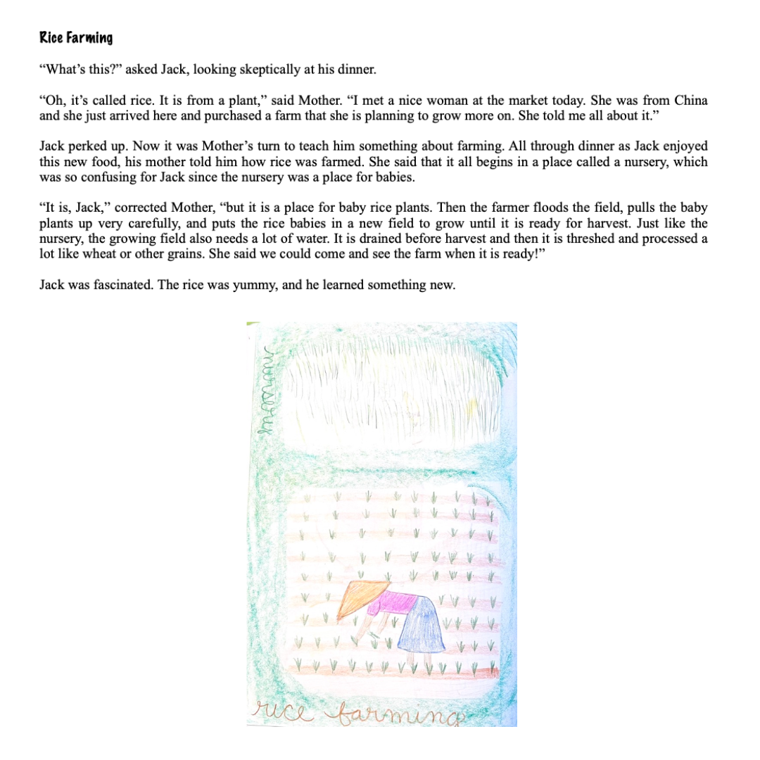 Waldorf Essentials Class 3 Hard Copy Curriculum & Training