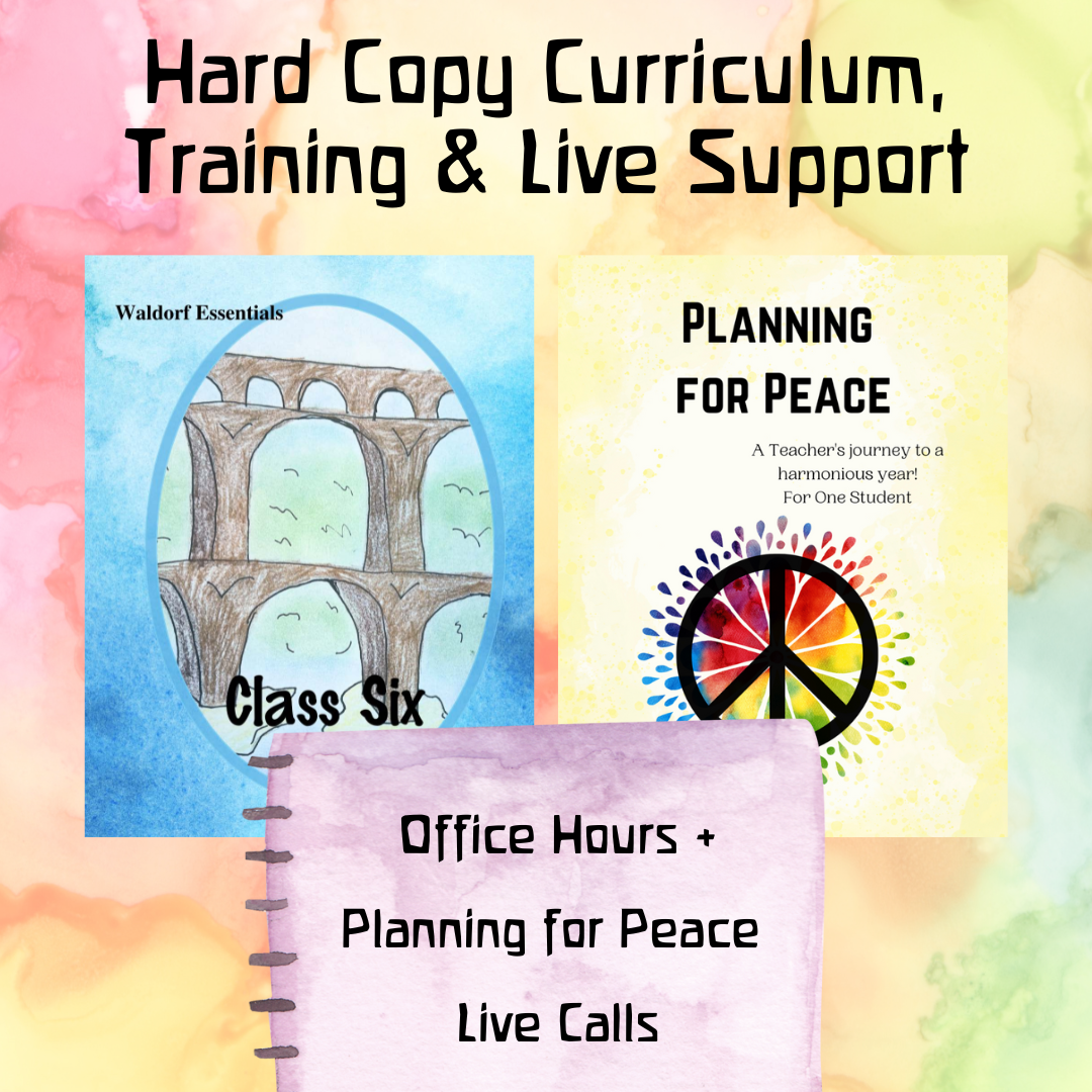 Waldorf Essentials Class 6 Hard Copy Curriculum, Training & Live Support