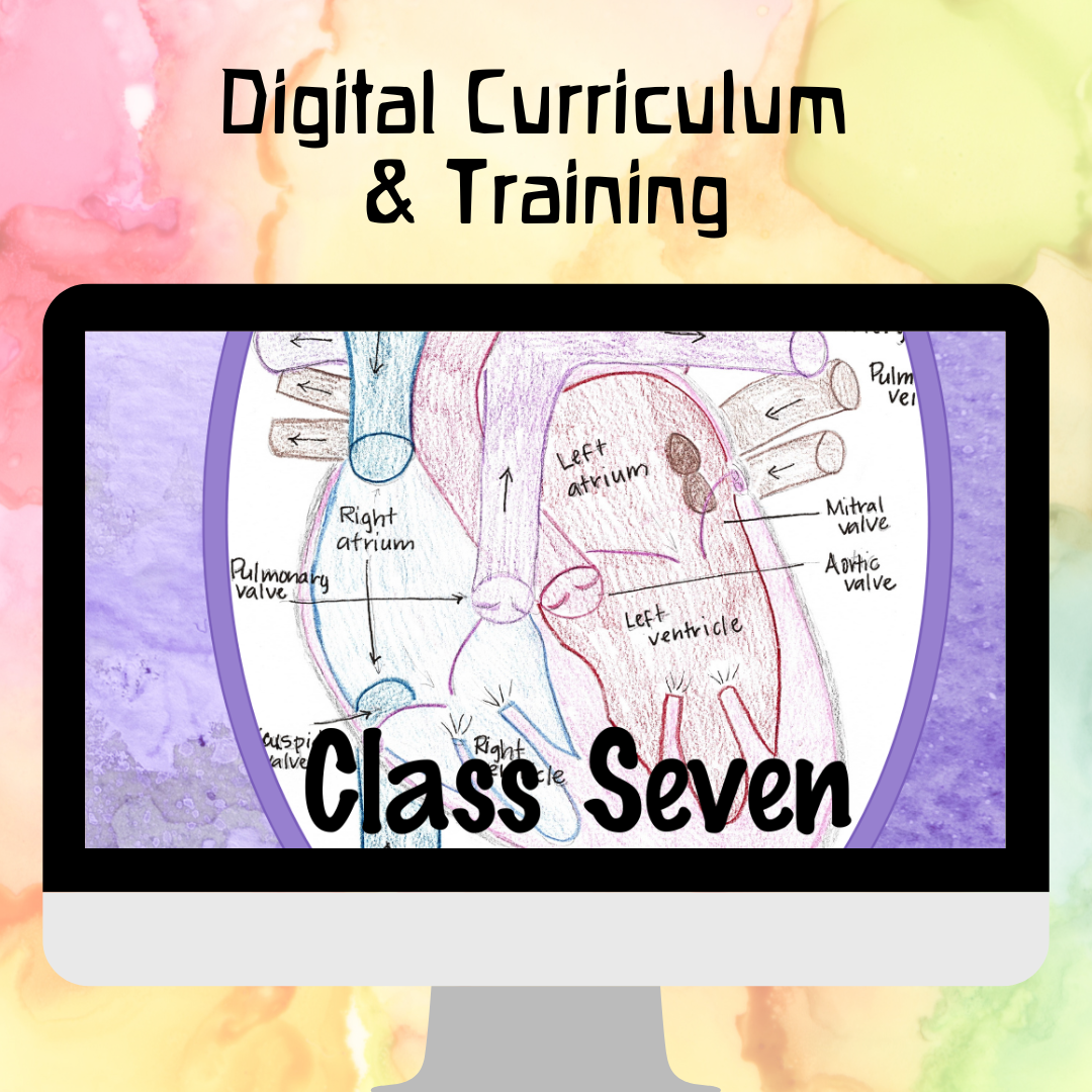 Waldorf Essentials Class 7 Digital Curriculum & Training