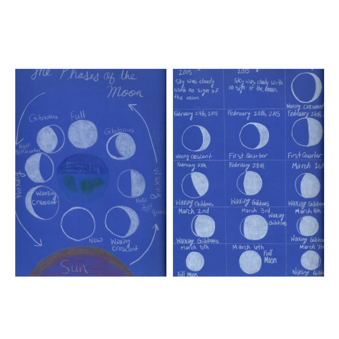 Waldorf Essentials Class 7 Hard Copy Curriculum & Training