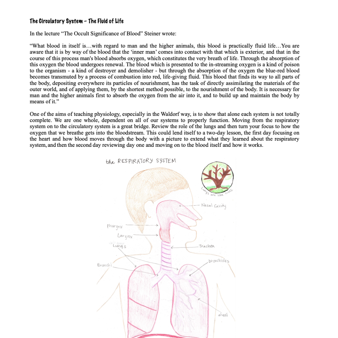 Waldorf Essentials Class 7 Hard Copy Curriculum & Training