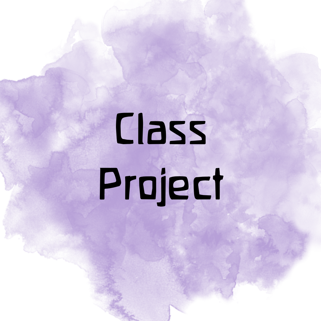 Class 10 Project Block